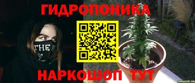 МДМА Лесосибирск