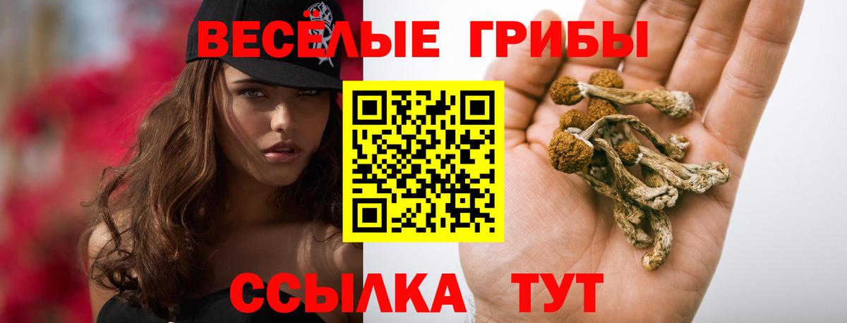 даркнет сайт  Галлюциногенные грибы мухоморы  Псилоцибиновые грибы Psilocybine cubensis  Вход с VPN  Грозный 